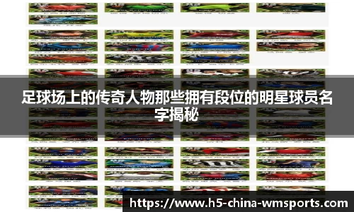 足球场上的传奇人物那些拥有段位的明星球员名字揭秘